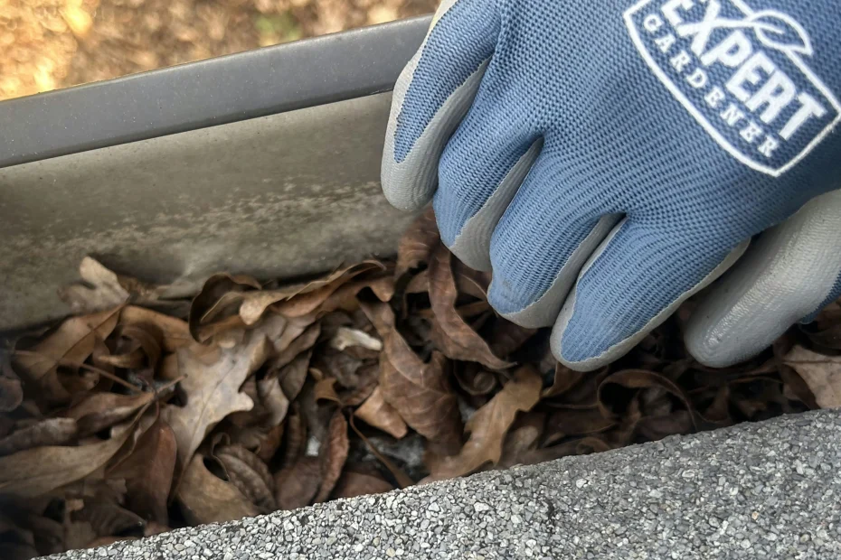 Gutter Cleaning West Ocean View