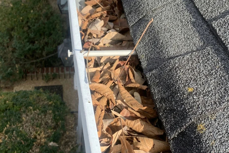 Gutter Cleaning West Ocean View