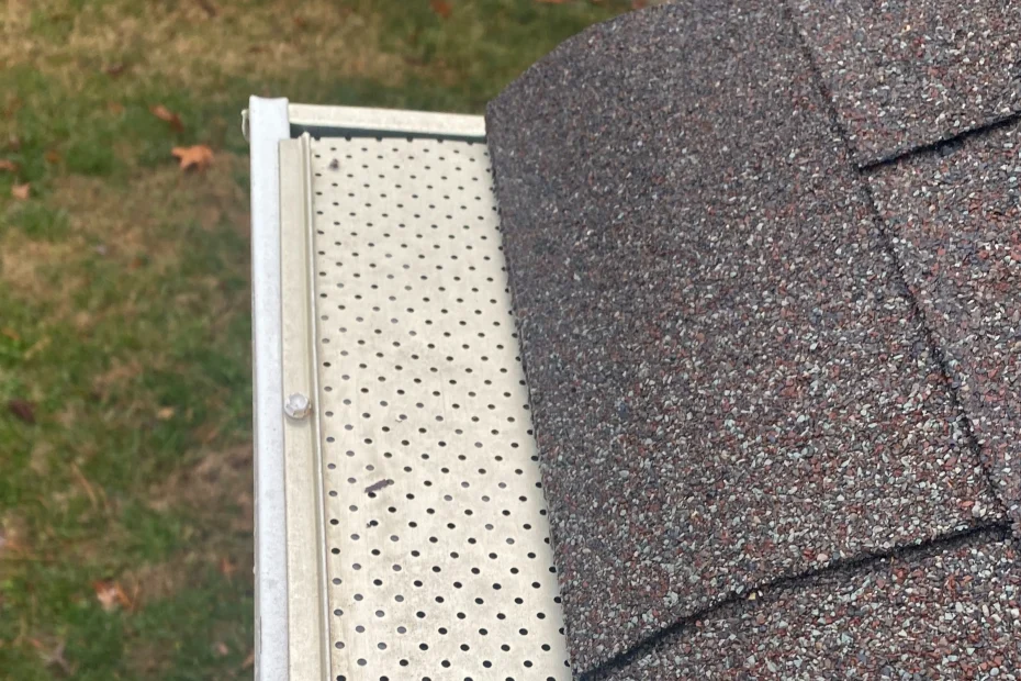 Gutter Cleaning West Ocean View