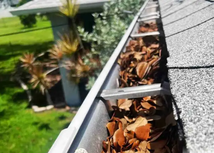 Gutter Cleaning West Ocean View home page